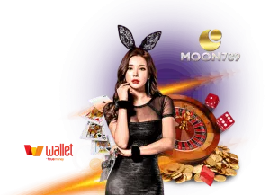 moon 789wallet